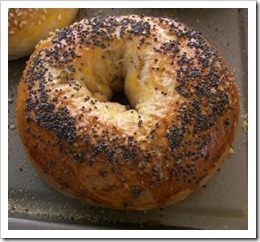 poppy-seed-bagel-catalina-kolker