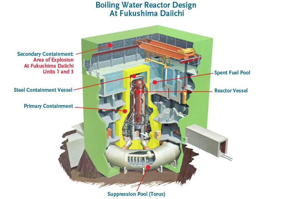 BWR/5 reactor in Mark I Pressure Suppression Containment.  Illustration courtesy INPO.
