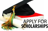 Apply for ANS Scholarships